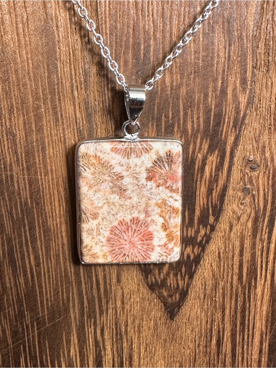 Jewelry - Coral Fossil Pendant Necklace on Silver Plated Box Chain